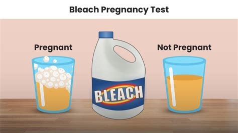 positive bleach pregnancy test